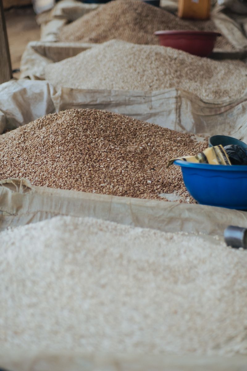 Pulses and legumes including lentils and chickpeas